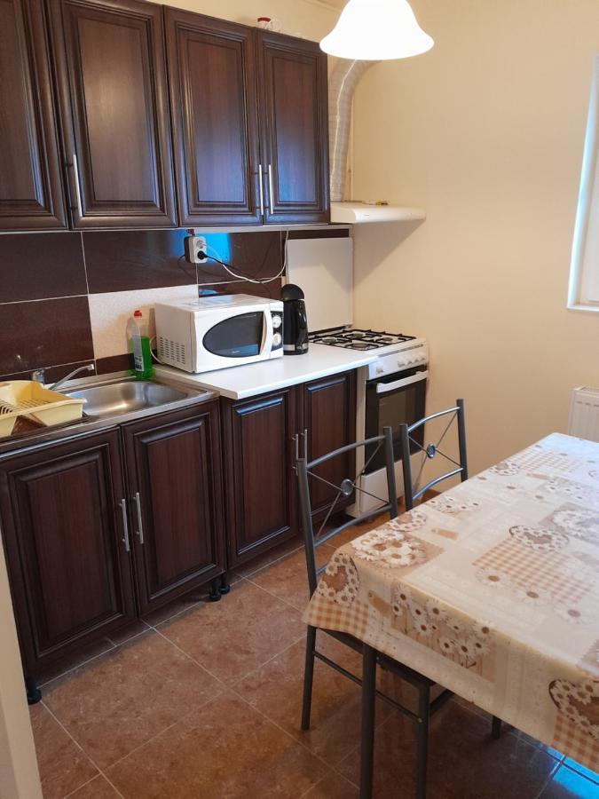 Casa Emilia Apartment Orsova Bagian luar foto