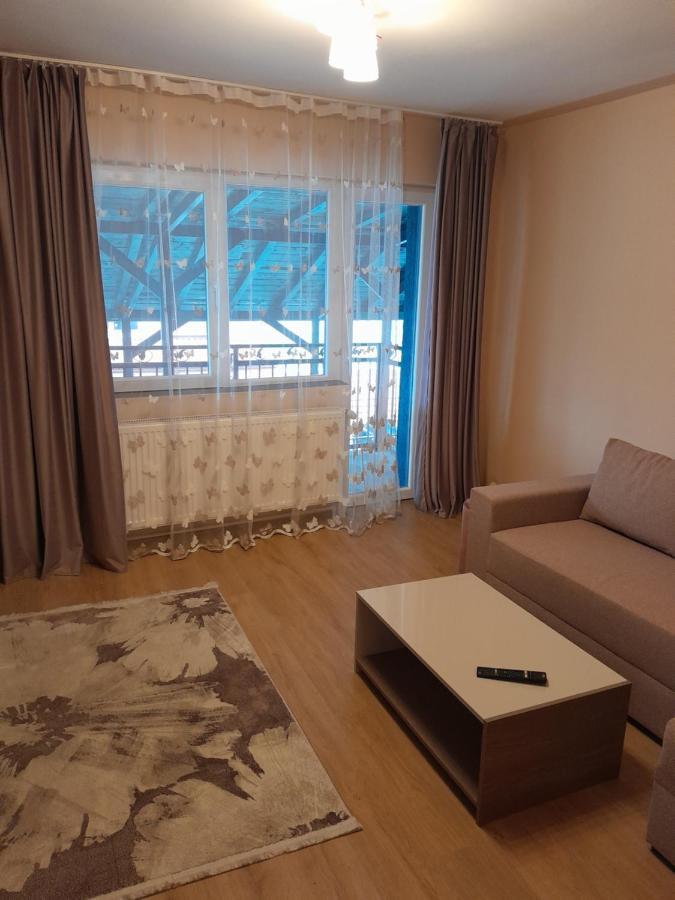 Casa Emilia Apartment Orsova Bagian luar foto